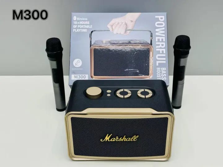 ລຳໂພງ Bluetooth ລຸ້ນ M300, ມາພ້ອມໄມໂຄຣໂຟນ 2 ອັ່ນ, ຮອງຮັບ USB TF, ສາມາດເພີ່ມສຽງເບສ ແລະ ຫຼຸດສຽງເບສໄດ້, ອອກແບບສວຍງາມ ສາມາດຮ້ອງຄາລາໂອເກະໄດ້.  ສຽບໃສ່ flash drive